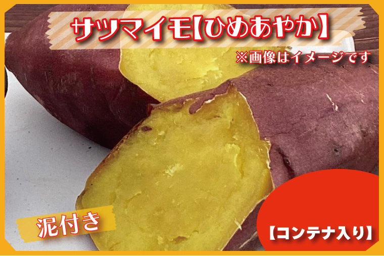 20kgコンテナ入りサツマイモ（ひめあやか）の画像