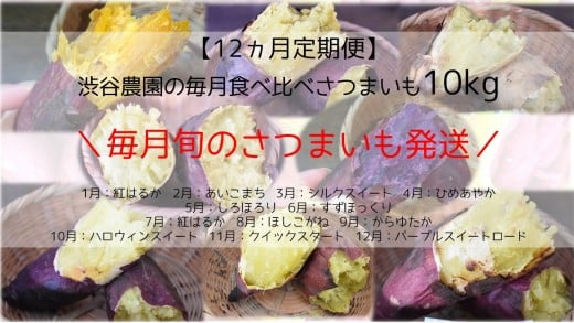  【12ヶ月定期便】渋谷農園の毎月食べ比べさつまいも 10kgの画像