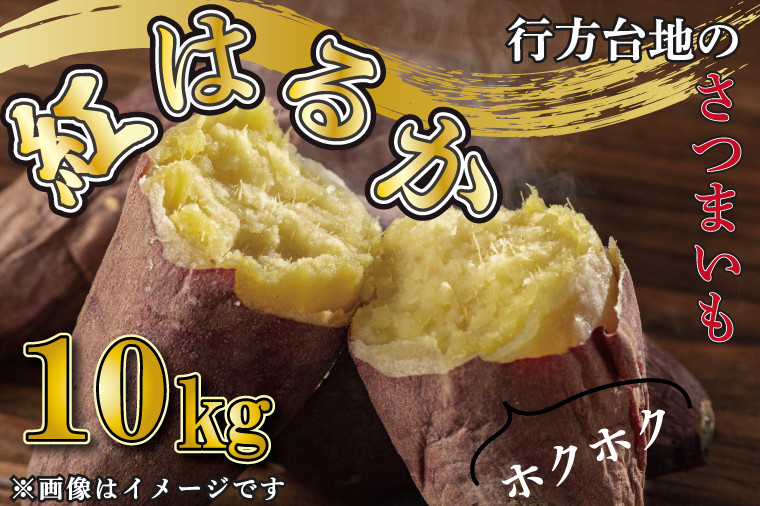 紅はるか　10kgの画像
